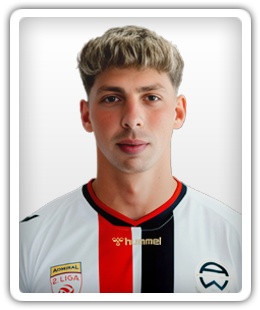 Holzmann