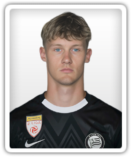 Scharmer