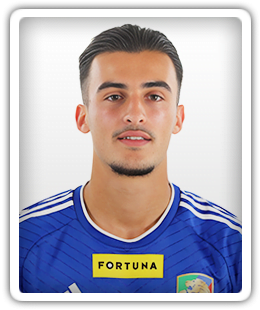 Mehdi Lehaire