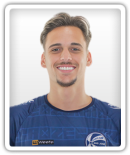  Henrique