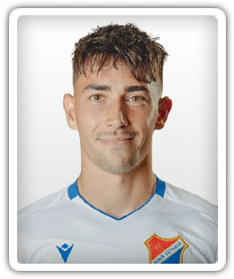 Jaroň