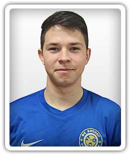 Stepanovich