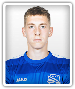 Dudarev