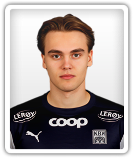 Leander Alvheim