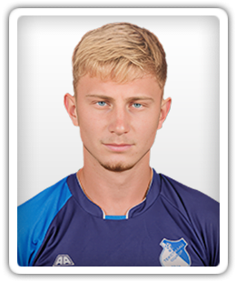 Vasić