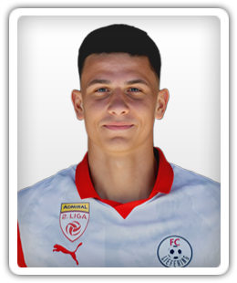 Brandtner