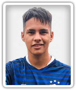 Vigezzi
