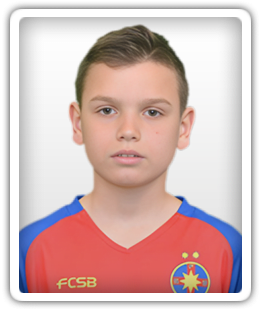 Necşulescu