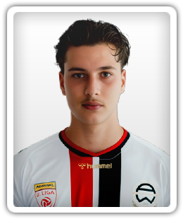 Bradarić