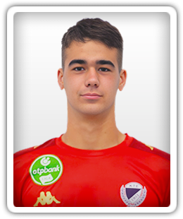 Pálfi