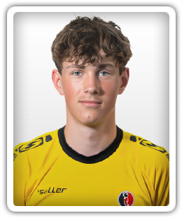 Ward van Sleeuwen