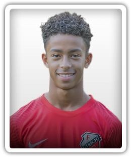Wijngaarde