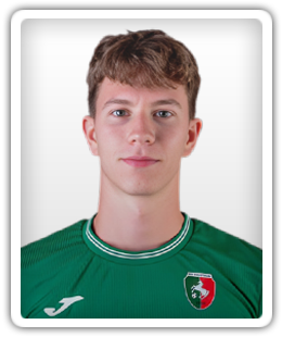 Luka Pučnik