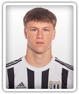 Domjan