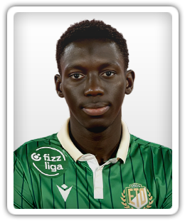 Nfansu Njie