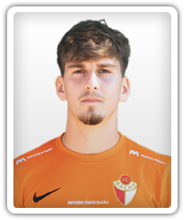 Lucian Anton