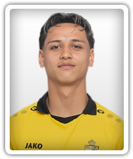 Tiago Vermeulen