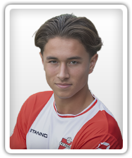 van Affelen van Saemsfoort