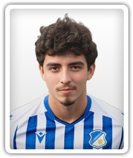 Driessen