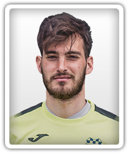 Vice Baždarić