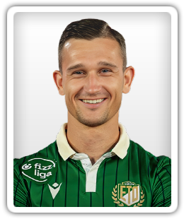 Daniel Štefulj