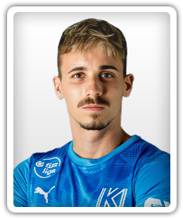 Polgár