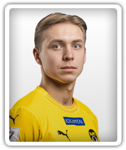 Vidjeskog