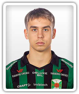 Vidjeskog