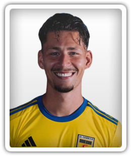 van Mullem