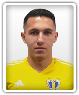Robert Moldoveanu