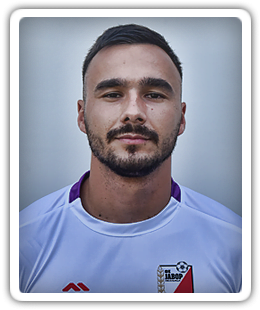 Dino Dolmagić