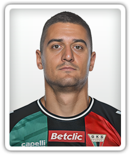 Nemanja Nedić