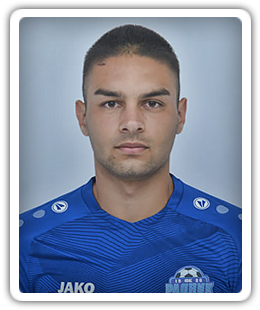 Andrija Milić