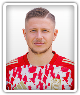Dominik Veselovský