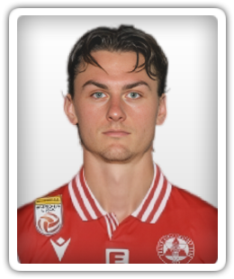 Oberleitner